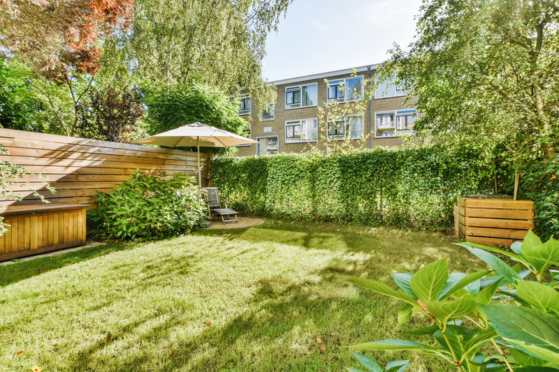 Delightful landscape of the courtyard